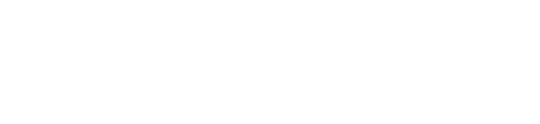 AVS Bug Deflectors